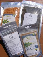 Basil: Scent Leaf/Tulsi Vana - Ocimum gratissimum